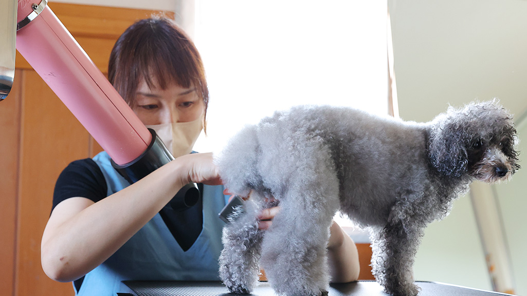 まずは気軽にご予約から