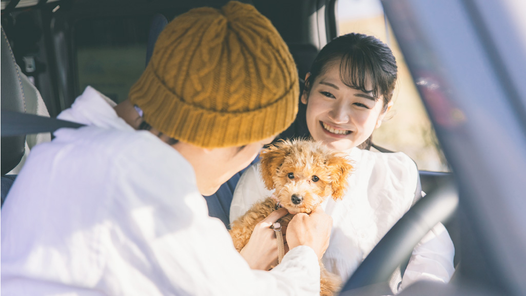 愛犬のグルーミングに車で向かうご夫婦